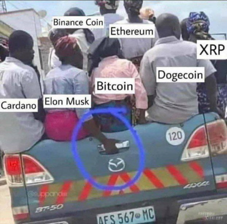Elon Musk crypto memes
