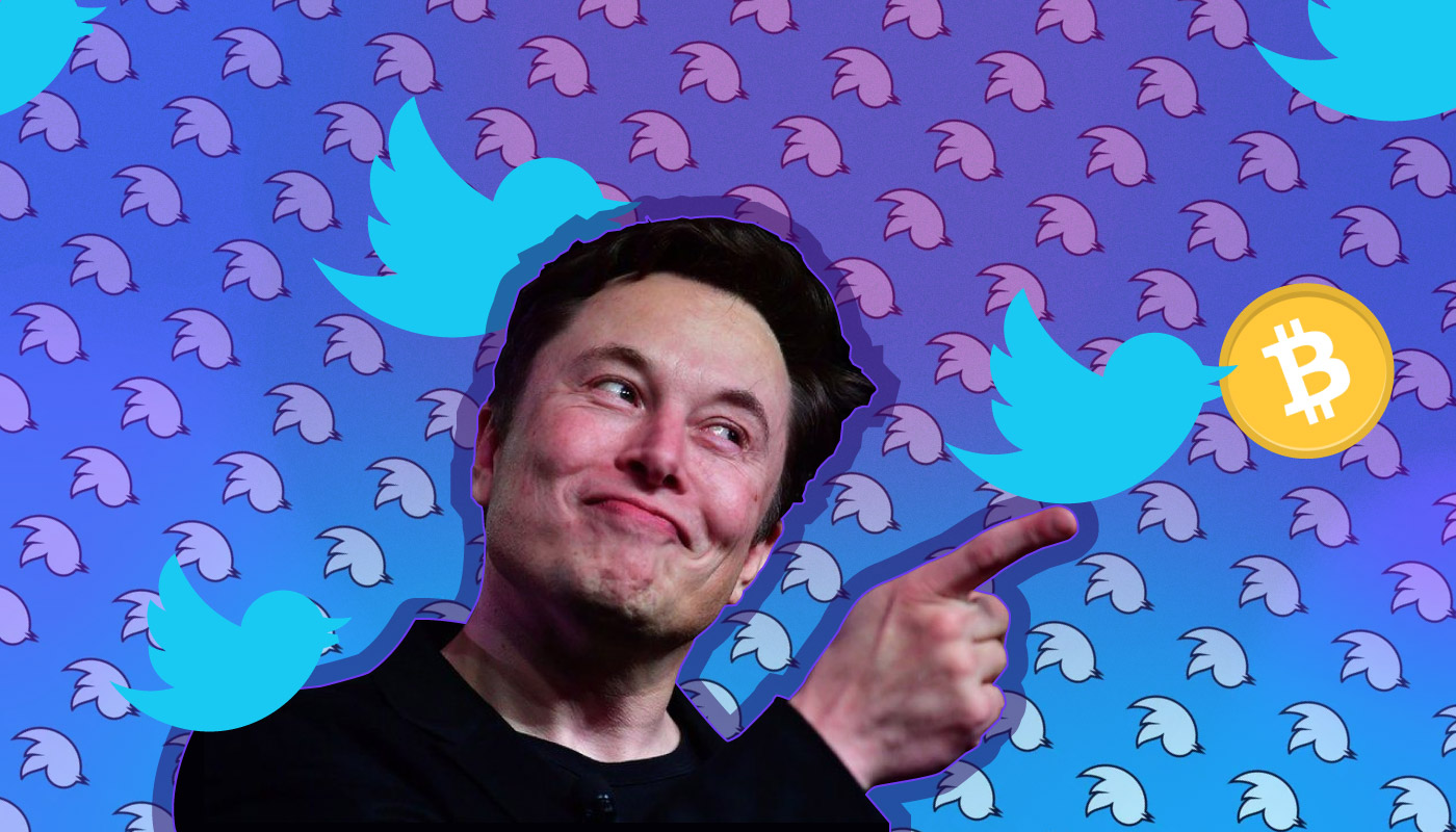 Elon Twitter Takeover